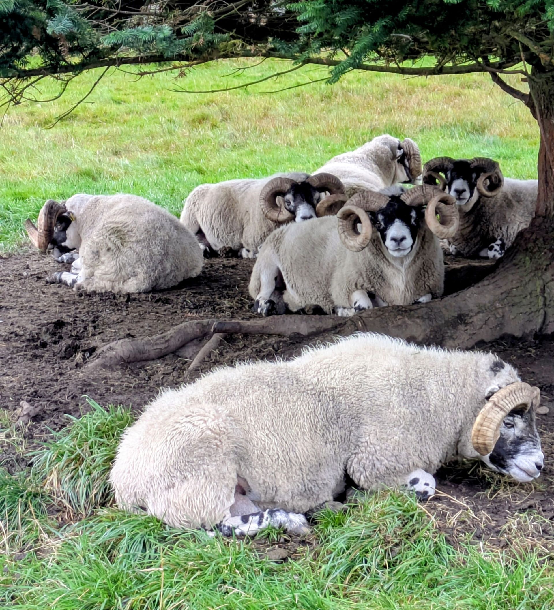 Just chillin'